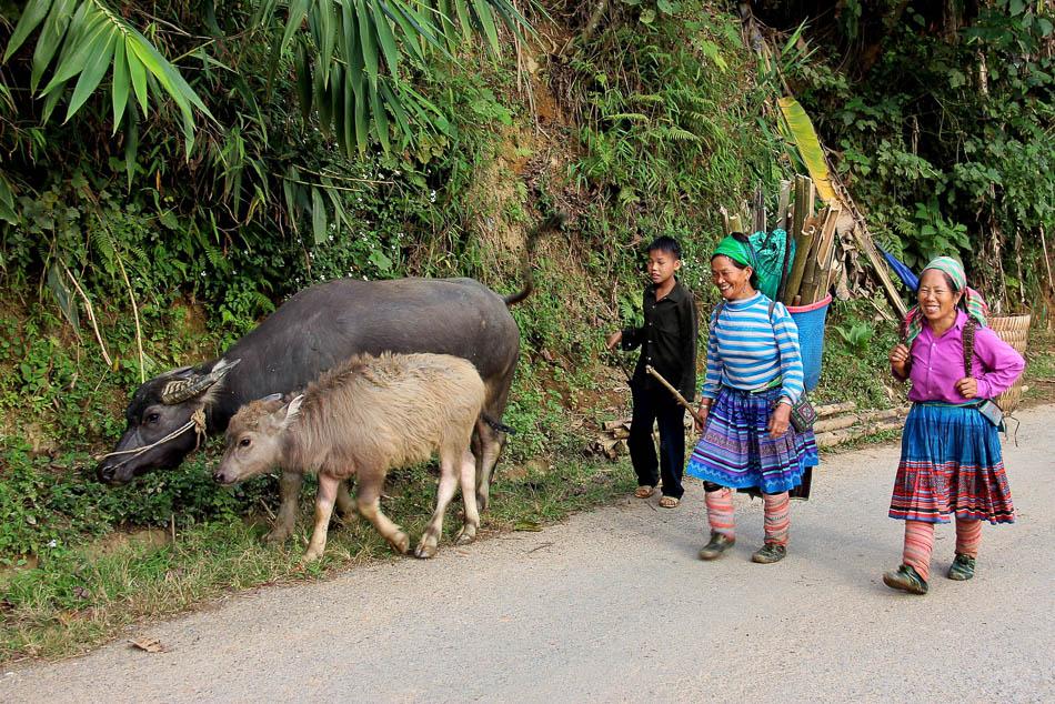 VN 345 Arne Vanwijnsberghe Arne Van Wijnsberghe W950