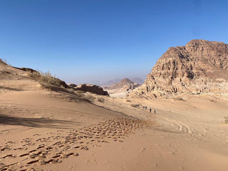 IMG_5130-JO4AAA Ward Plettinck-Ward Plettinck-w950