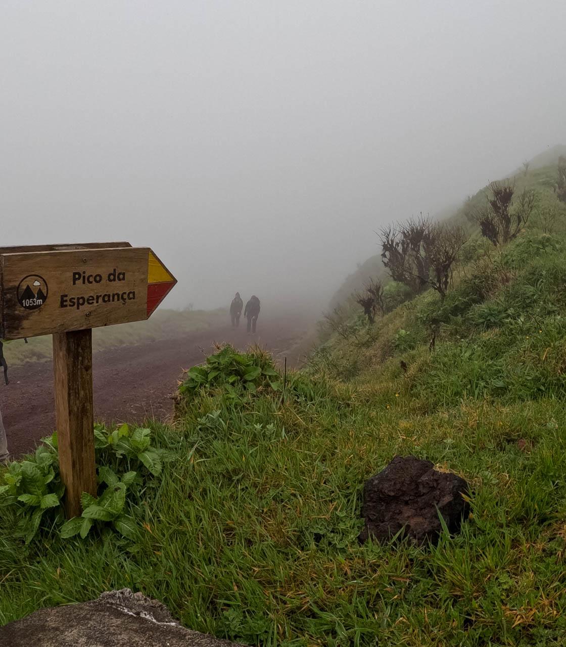 Selectie Lori Persoons (1) Lori Persoons