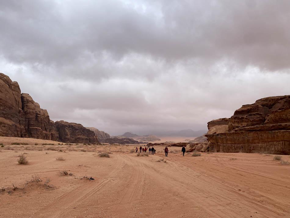 IMG_5184-JO4AAA Ward Plettinck-Ward Plettinck-w950