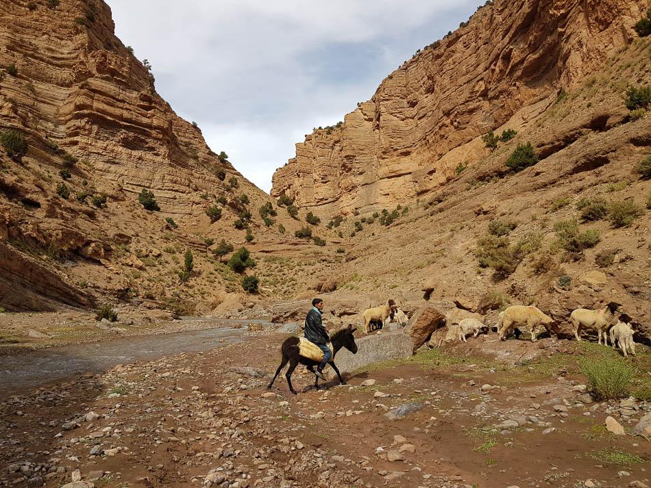 20231027 134514 Selectie Charlotte Stevens W950