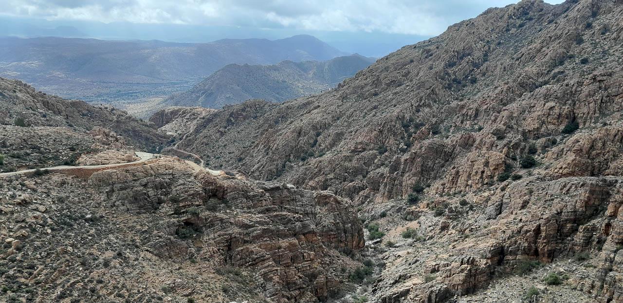 Selectie 20260206 123450 Tom Cornelis