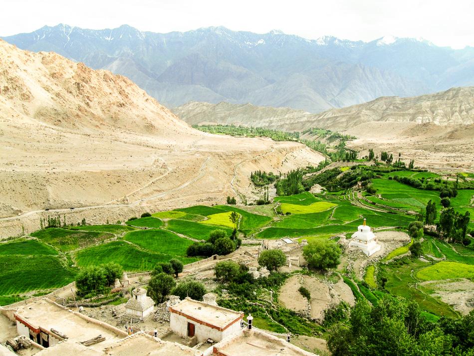 Ladakh KM 12 Lut De Smet Ladakh 2011 617_export_w950