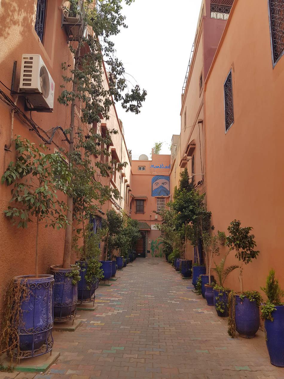 Charlotte Stevens Selectie Charlotte Stevens W950