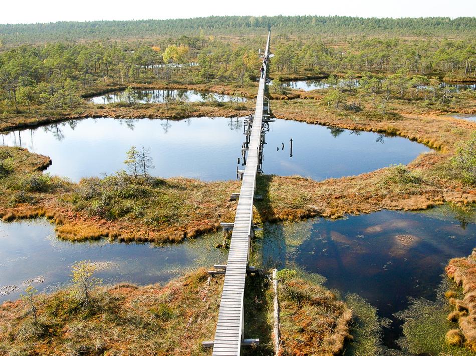 GR14 46 Estland Francis Van Herck 5 Export W950