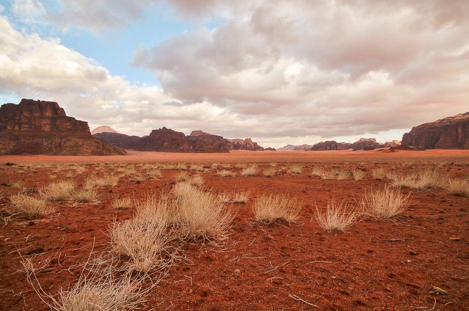 Wadi-Rumtrekking-14-Arne-Van-Wijnsberghe-Wadi-12_export_w950