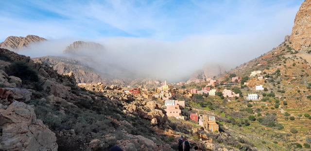 Selectie 20260204 104544 Tom Cornelis