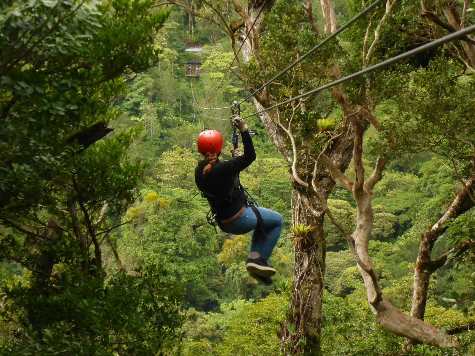 CR 2017 Julie Hardeel GROEP Canopy In Santa Elena Monteverde Node 4810 Submission 4808 Foto 3