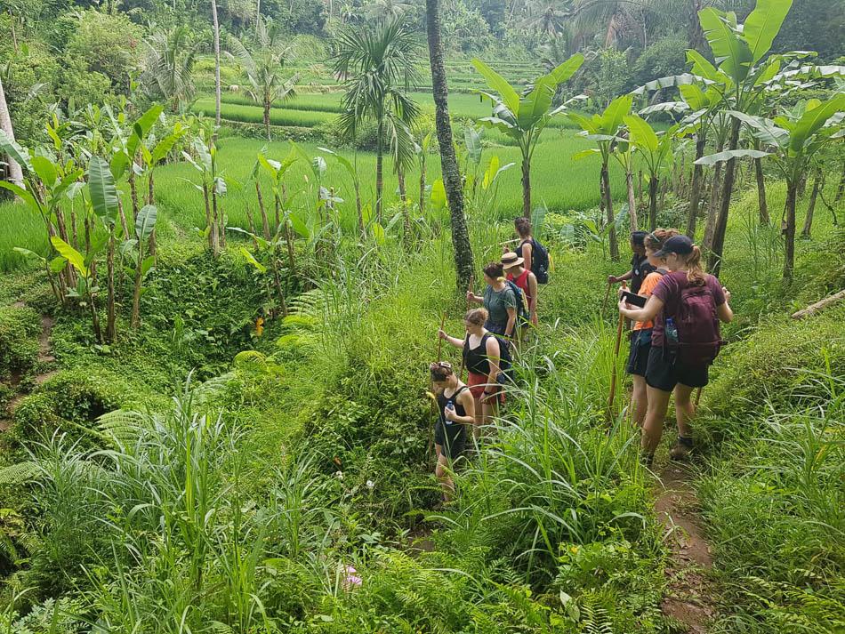 Whatsapp Image 2024 04 26 At 07.42.52 Selectie Joker W950