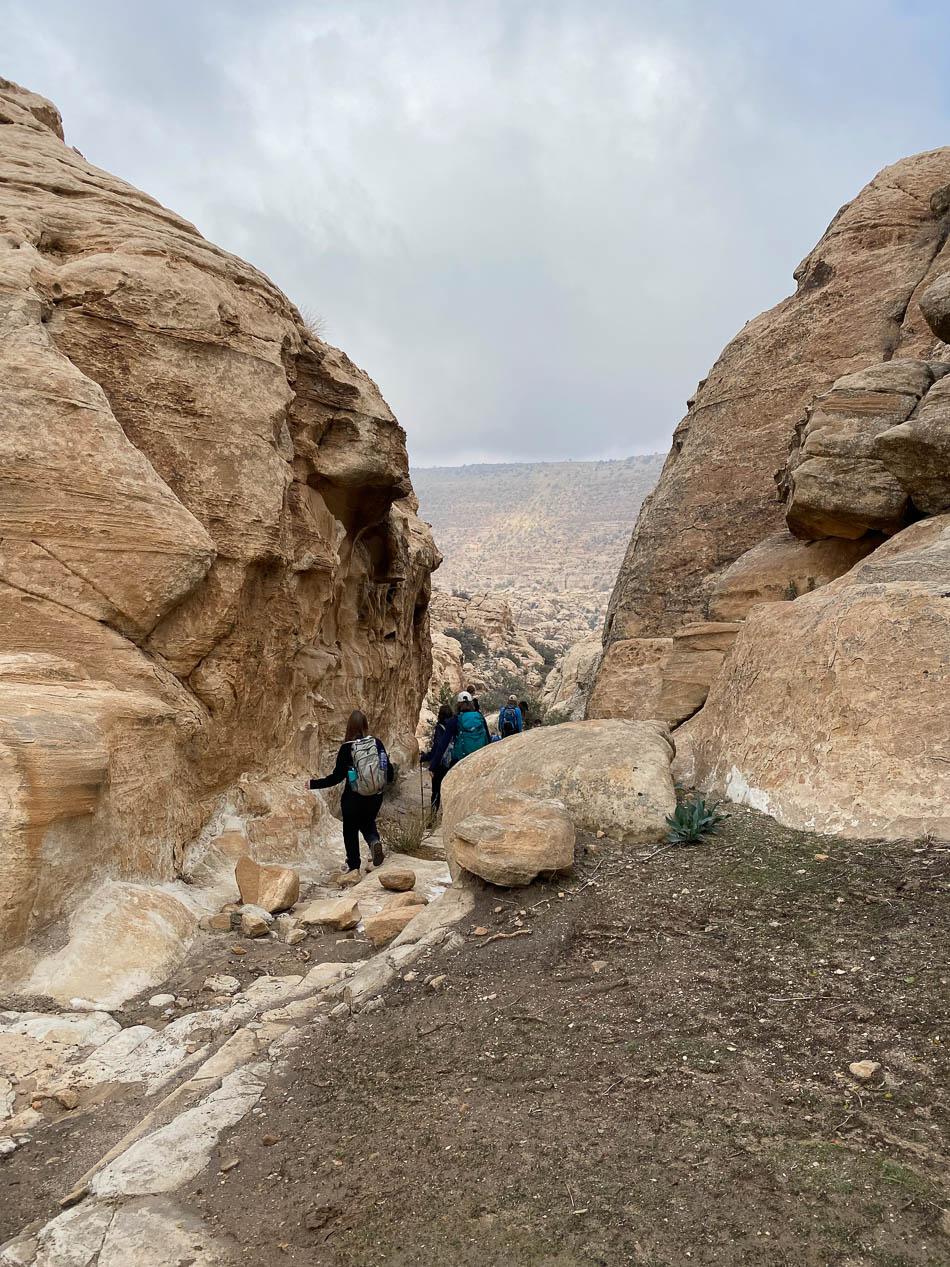 IMG_4934-JO4AAA Ward Plettinck-Ward Plettinck-w950