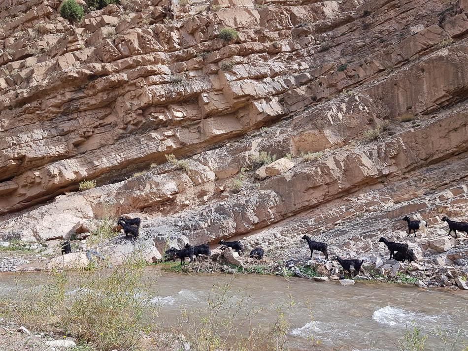 20231027 121739 Selectie Charlotte Stevens W950