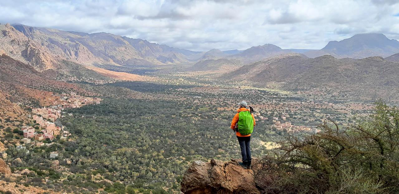 Selectie 20260206 141751 Tom Cornelis