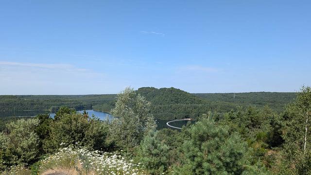 PXL 20240720 085823390 Selectie Thomas Michiels W950