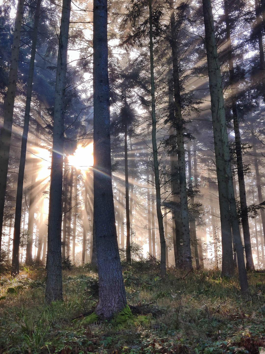 FR4VGB Stefvancampenhout 2024 (1) Stef Van Campenhout 1080