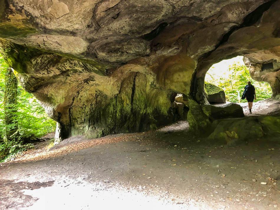 67961769_411123219552675_8953846672773873664_n__w950