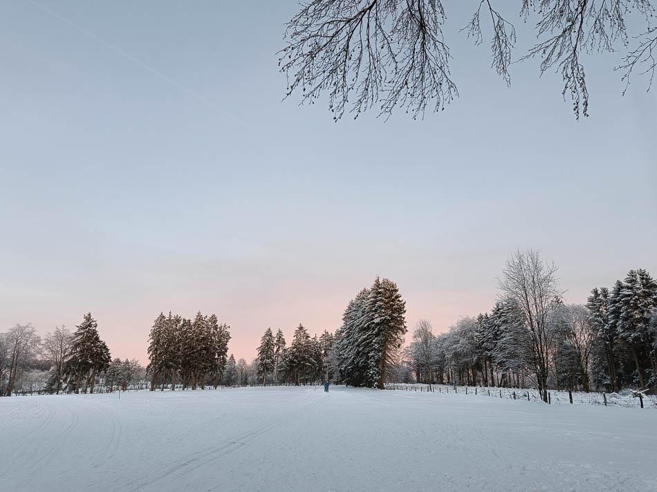 IMG20240120170740 Selectie Jolien Verhelst W950