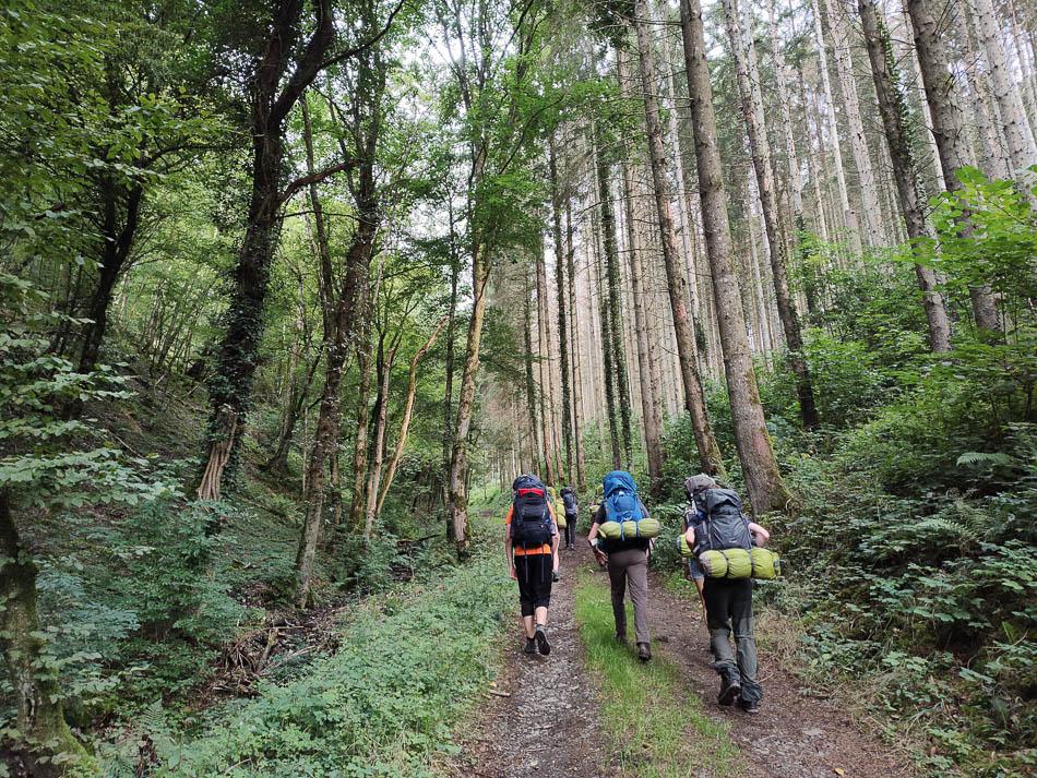 IMG 20230814 090717826 2023 Eisleck Thomas Michels W950