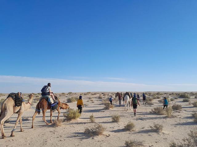 20241113 154831 Selectie Anneleen Jansen W950