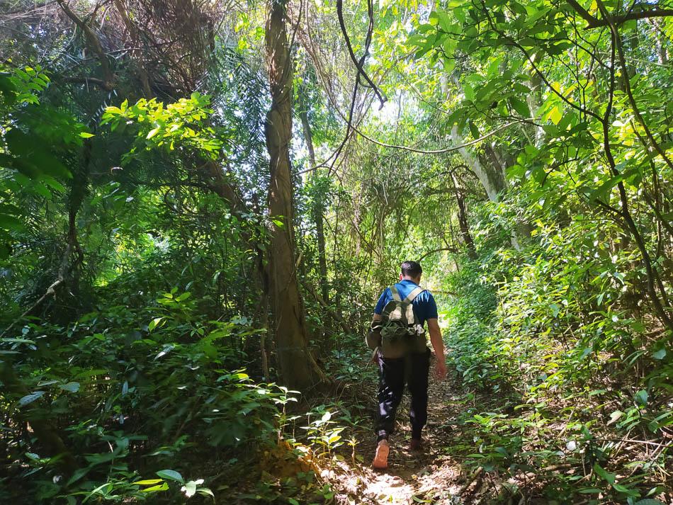 IMG 20241110 122741 Charlotte Charlotte Stevens W950