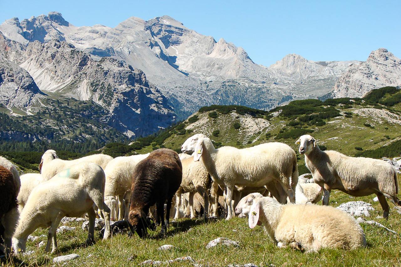 Dolomieten Filip Dehaene 062 Export W950 Selectie Filip Dehaene W1280