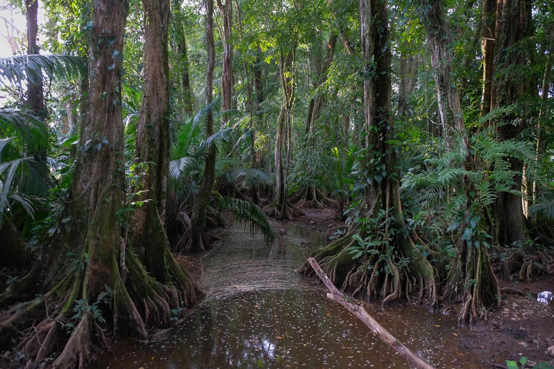 CRAC 081023 Marileen Durnez (27) Marileen Durnez 1080