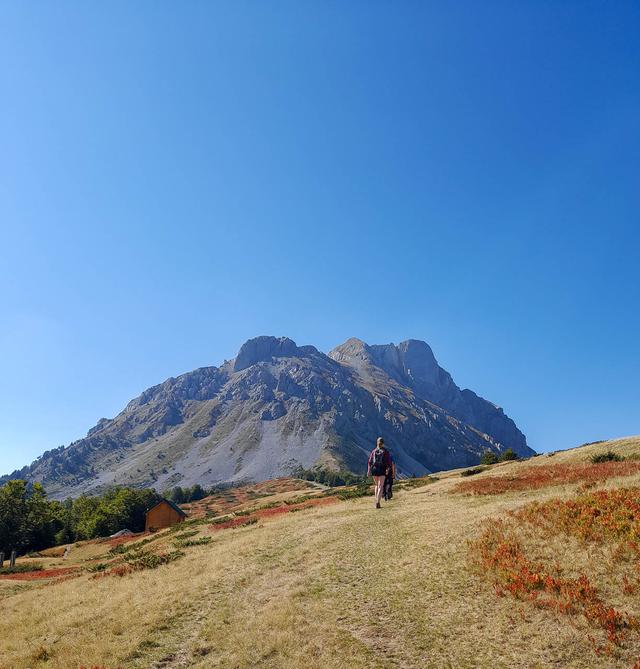 Edwin Vriesema Edwin Vriesema (4) Edwin Vriesema