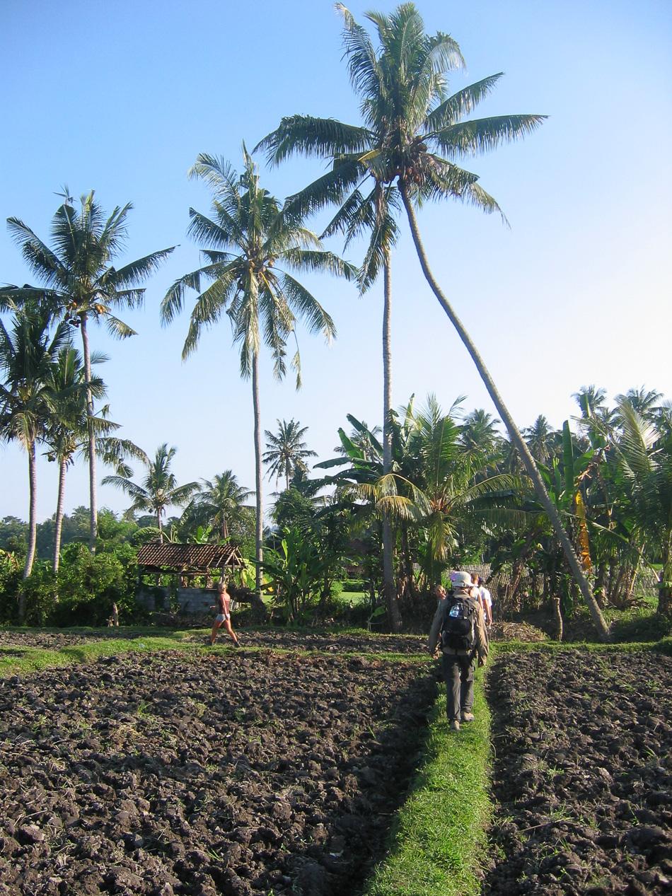 Indon-jong-06-Dries-Van-Melkebeke-7_export_w950