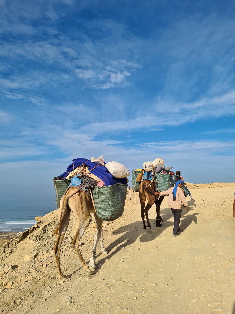 Ine Dutry Ine Dutry (2) Ine Dutry