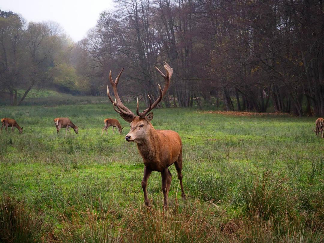 FR4VGB Stefvancampenhout 2024 (3) GLENN DE WILDE 1080