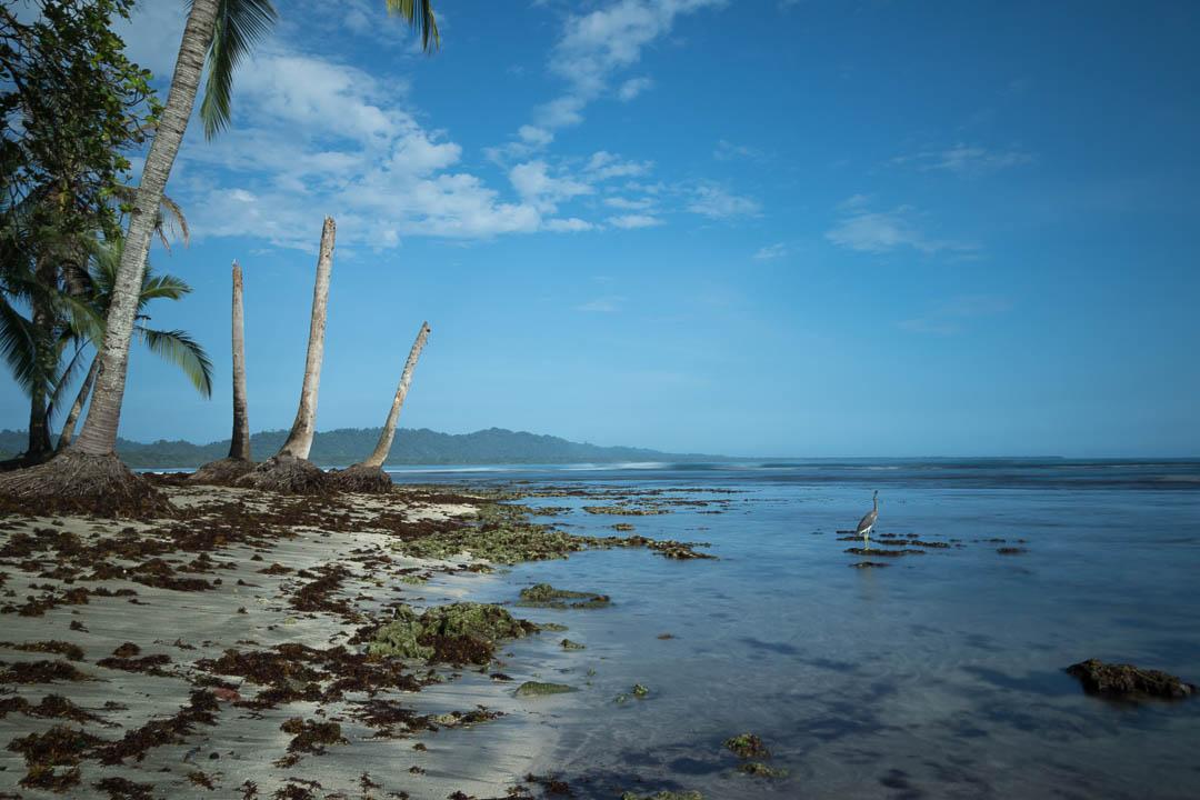 CRAT 2019 Davedeceuninck (26) Dave Deceuninck 1080