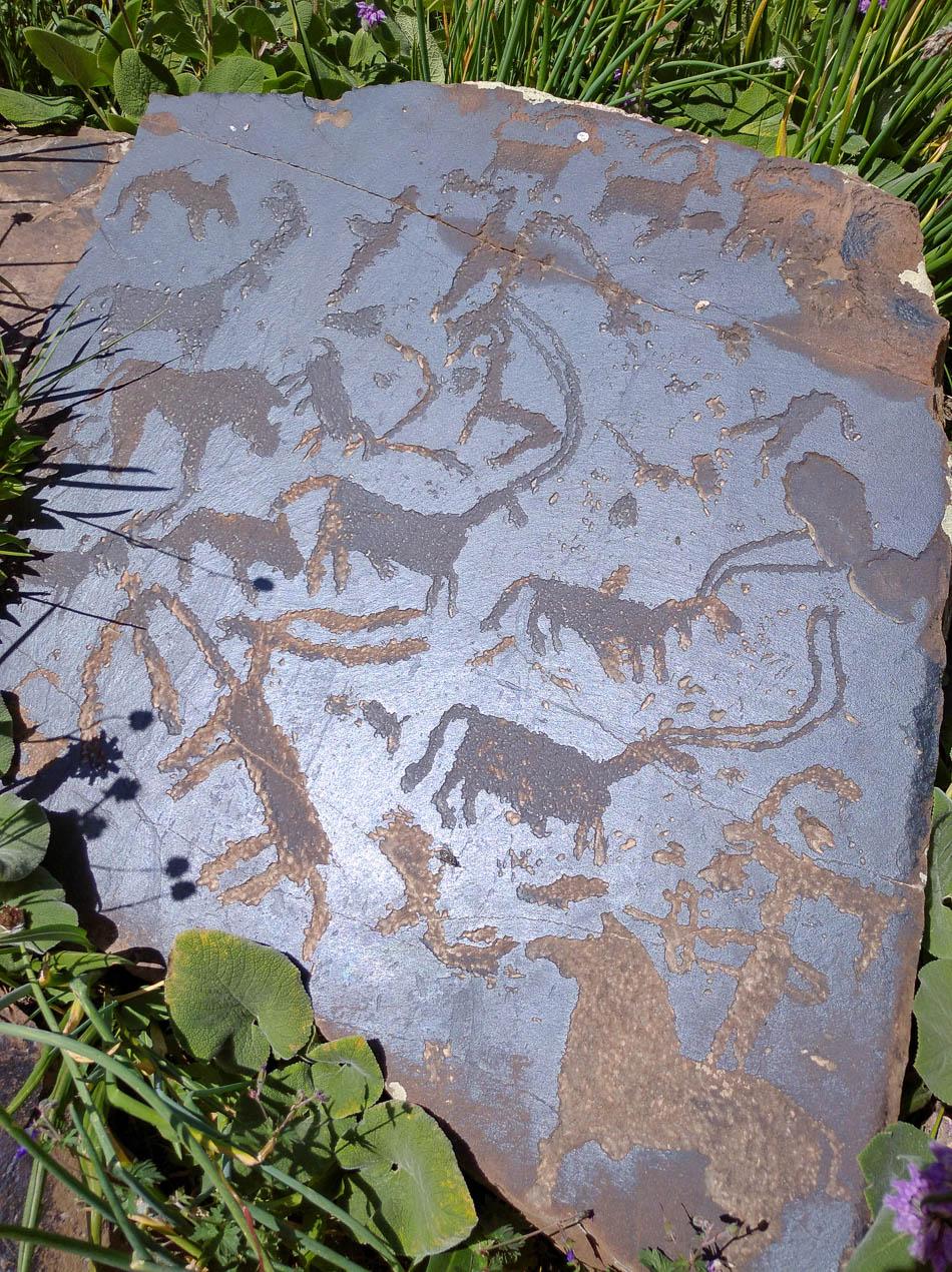 IMG 20220726 141131 Kirgizië Selectie Olivier Van Hoey W950 (1)