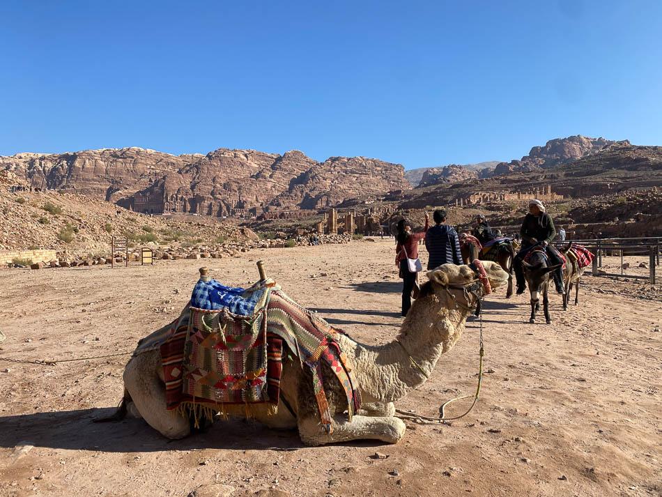 IMG_5006-JO4AAA Ward Plettinck-Ward Plettinck-w950