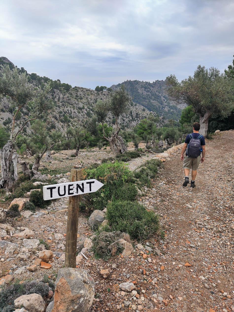 IMG 20231016 100129 Selectie Yentl Steurs W950