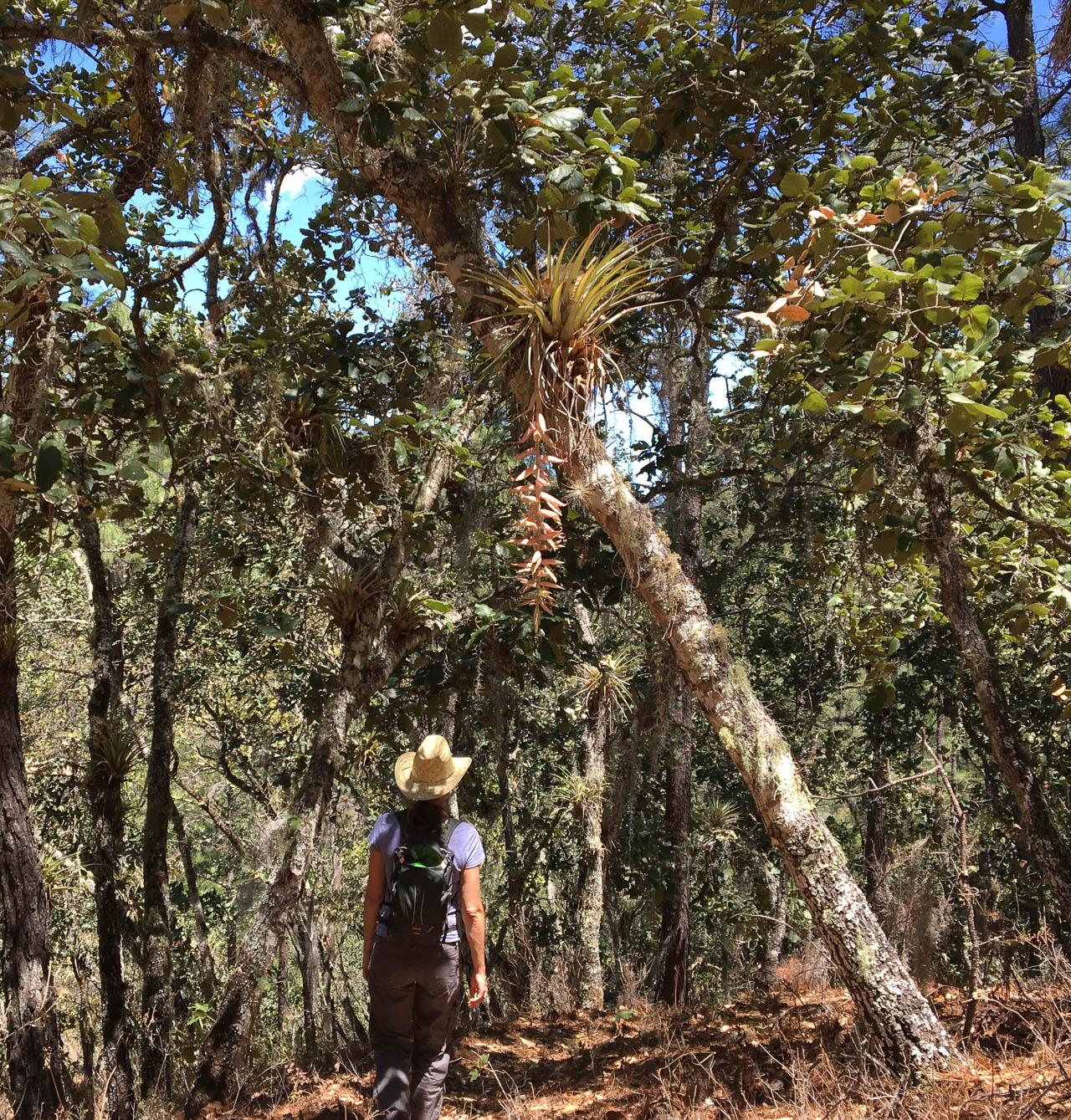 IMG 2118 Selectie Murielle Coppin W1280