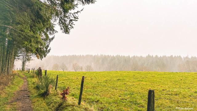 Venntrilogie 31 Ysebaert Peter Peter Ysebaert W1280