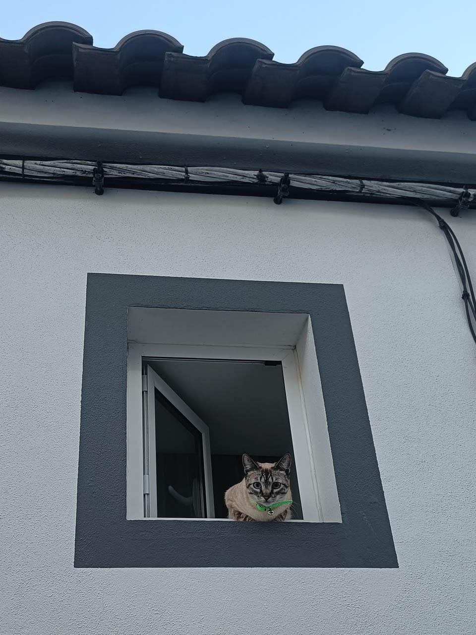 Selectie Jolien Verhelst (6) Jolien Verhelst