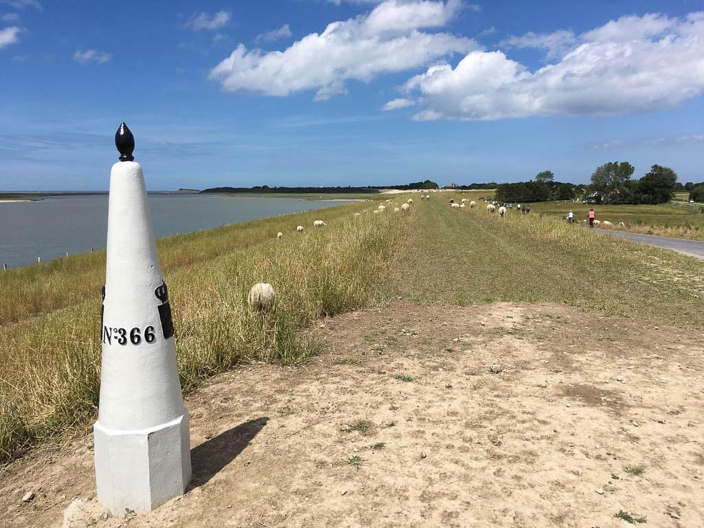 Sofie Vanmaele Sofie Vanmaele (11) Sofie Vanmaele