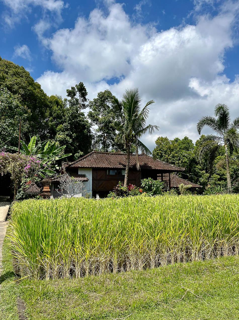 Image00003 Selectie Eveline Eveline Claes W950 Eveline Claes Eveline Claes W950