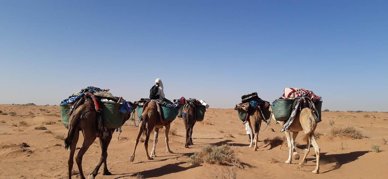 Selectie 20240212 114318 Resized Jeroen Van Laer