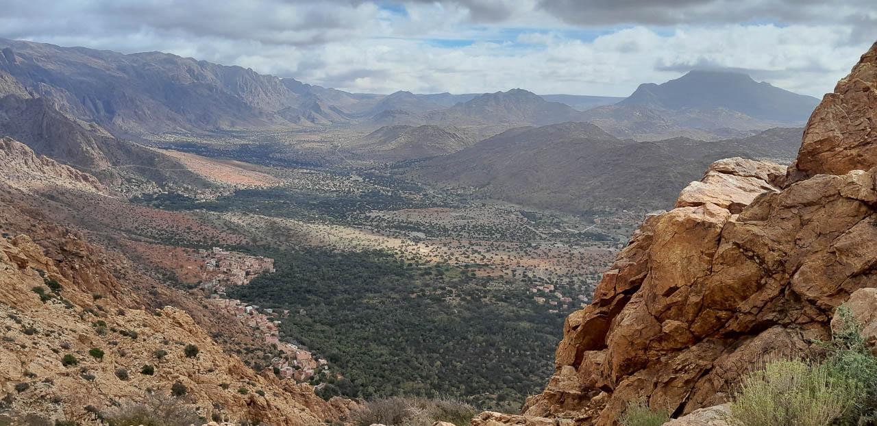 Selectie 20260206 130624 Tom Cornelis