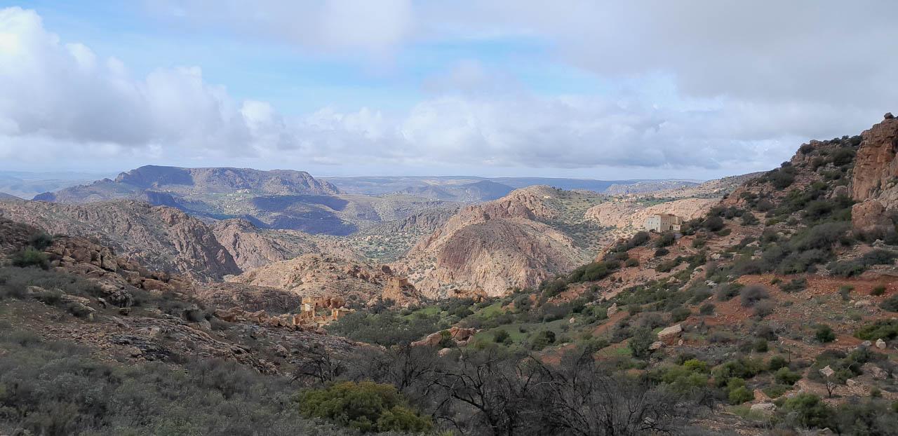 Selectie 20260203 142904 Tom Cornelis