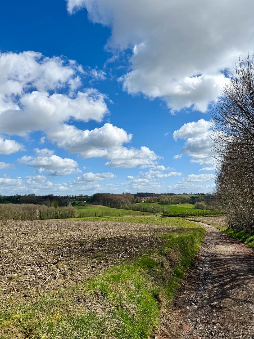 Selectie Yasmin Haegeman (16) Yasmin Haegeman