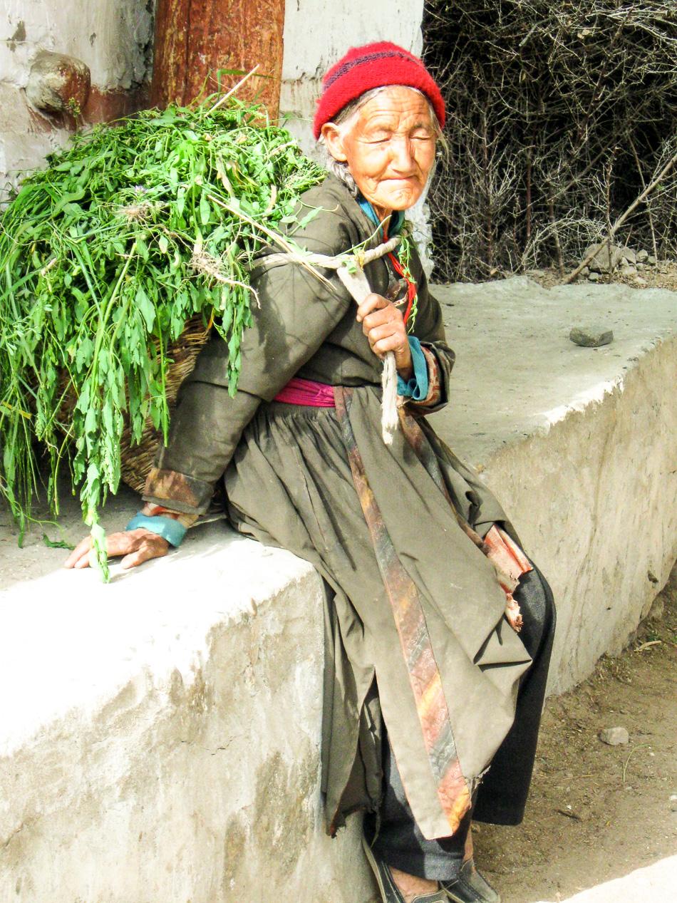 Ladakh KM 12 Lut De Smet Ladakh 2011 905_export_w950