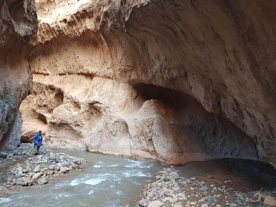 20231027 164238 Selectie Charlotte Stevens W950