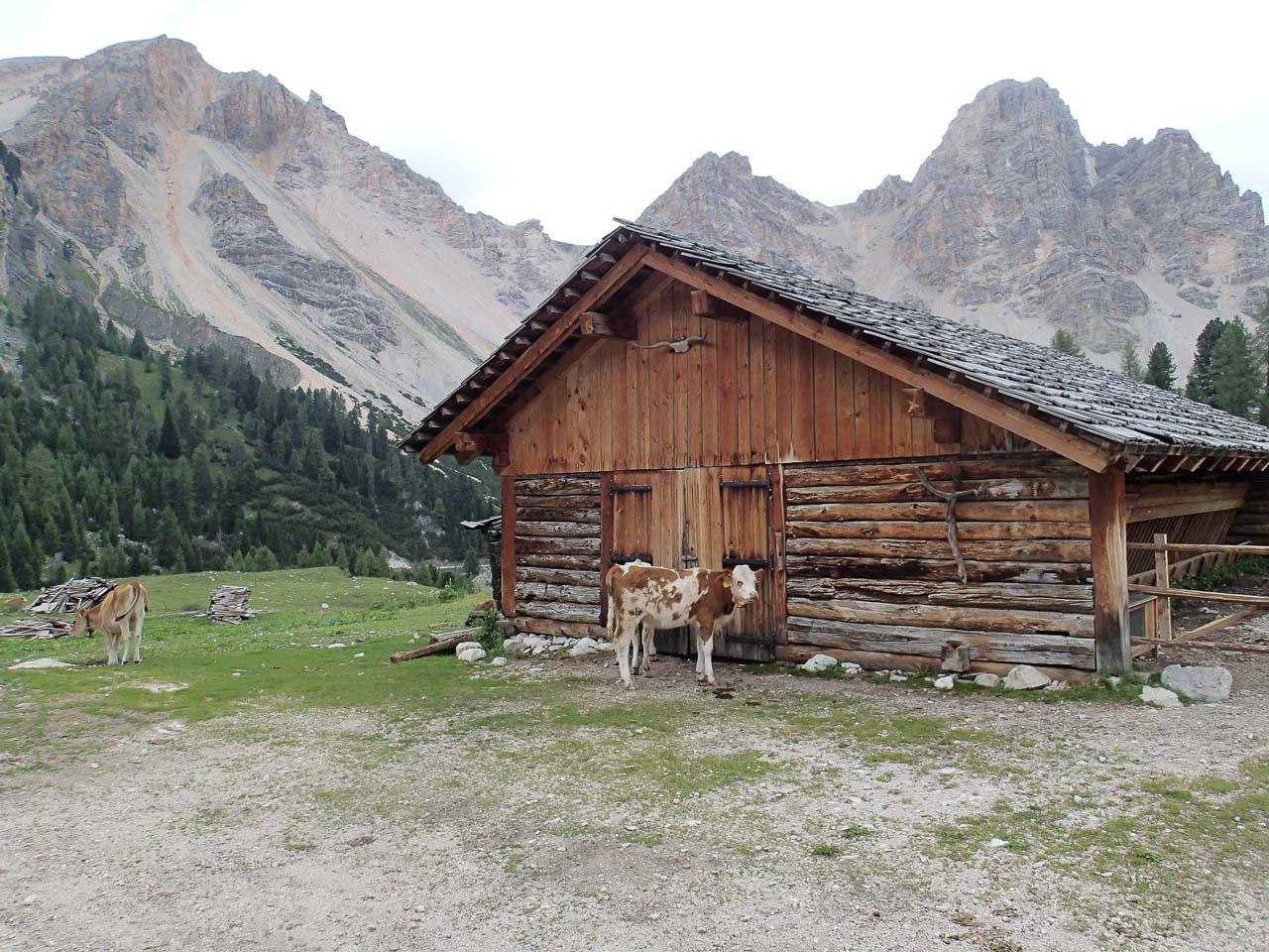 P8090895 Selectie Filip Dehaene W1280