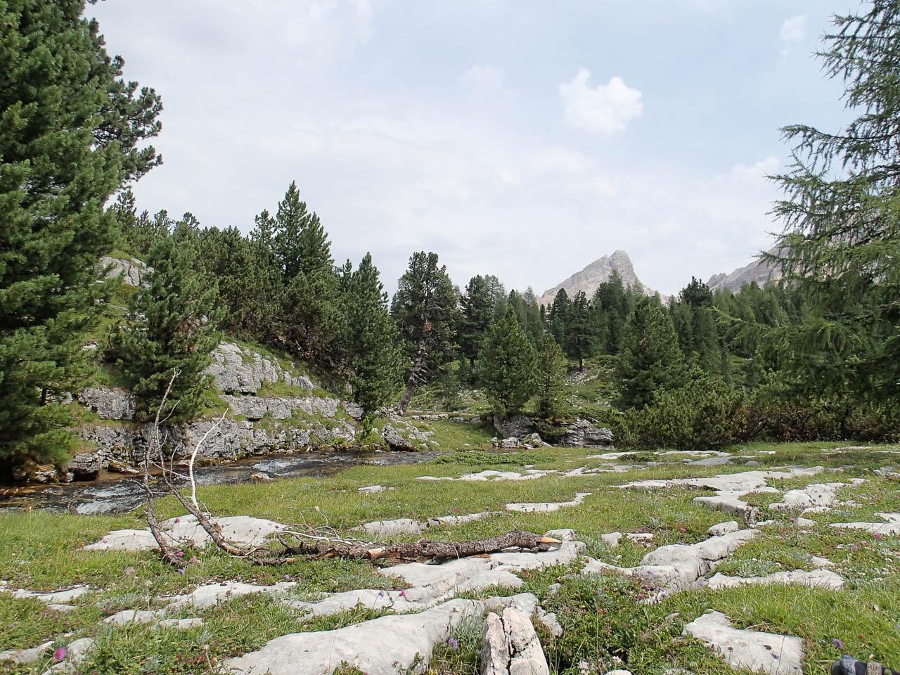 P8080868 Selectie Filip Dehaene W1280