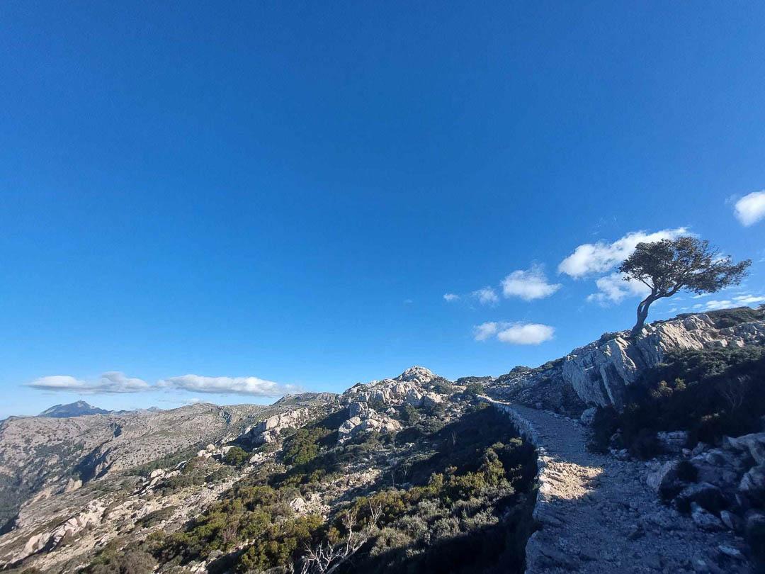 369052015 1034467917706141 5706994174018434199 N Lori Persoons 1080