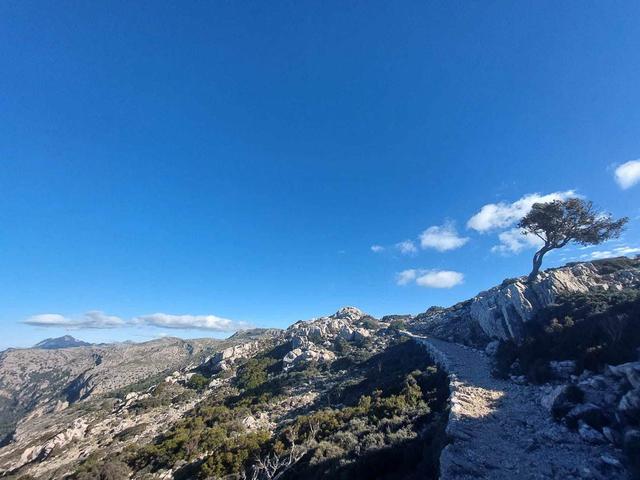 369052015 1034467917706141 5706994174018434199 N Lori Persoons 1080