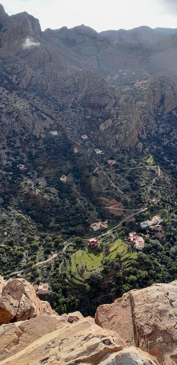 Selectie 20260204 103744 Tom Cornelis