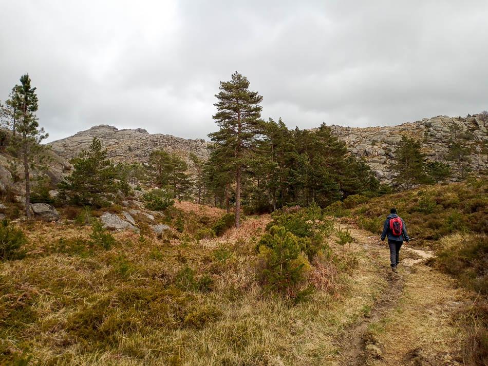 IMG_20230330_143144_393-PT1PGA1 Sam Vermeire--w950